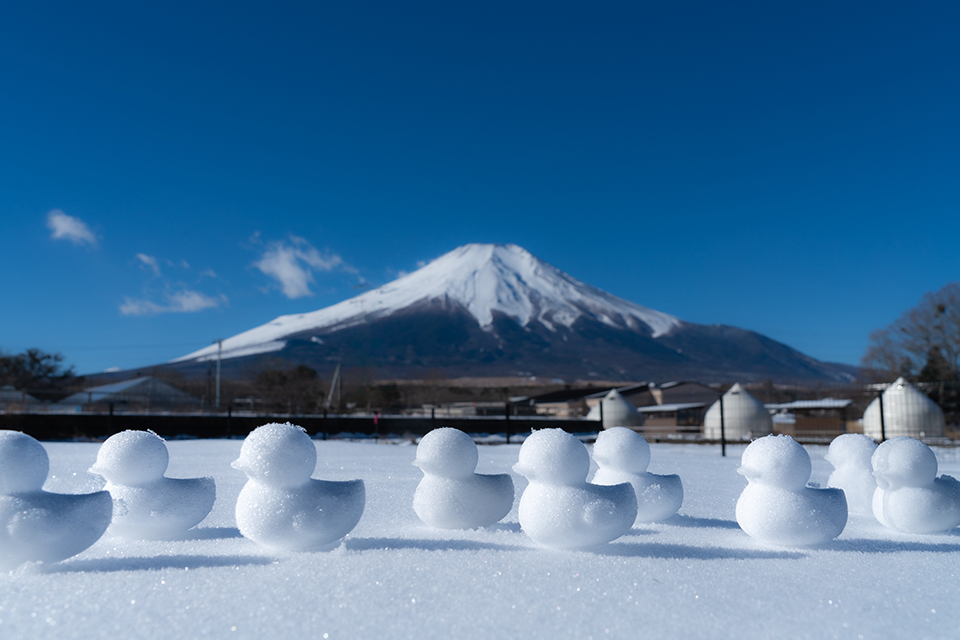 全室富士山ビュー