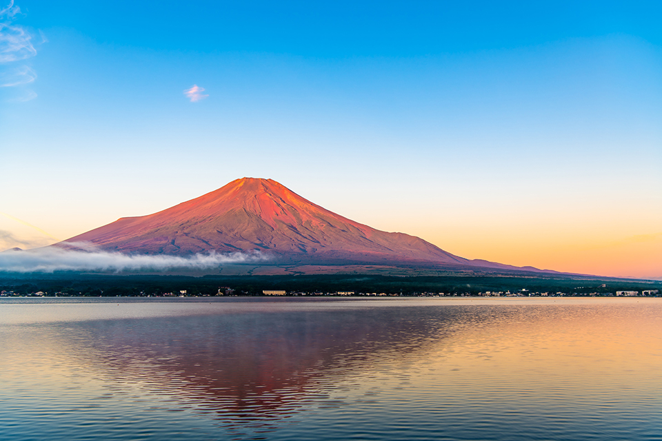 全室富士山ビュー
