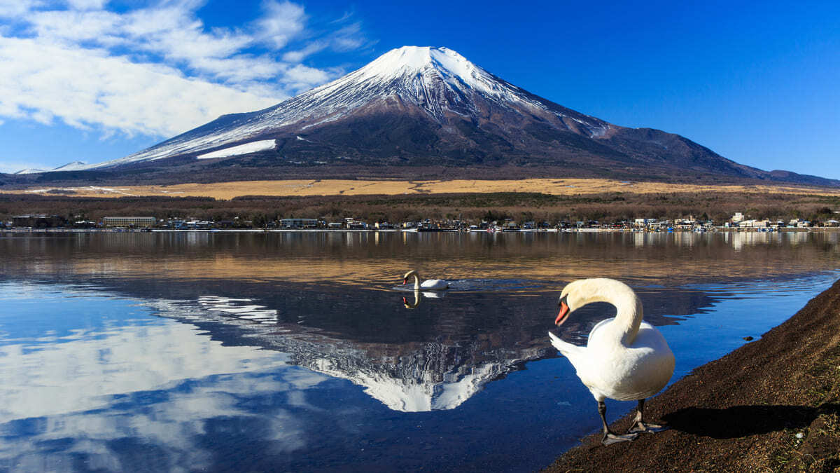 山中湖親水公園(長池親水公園)