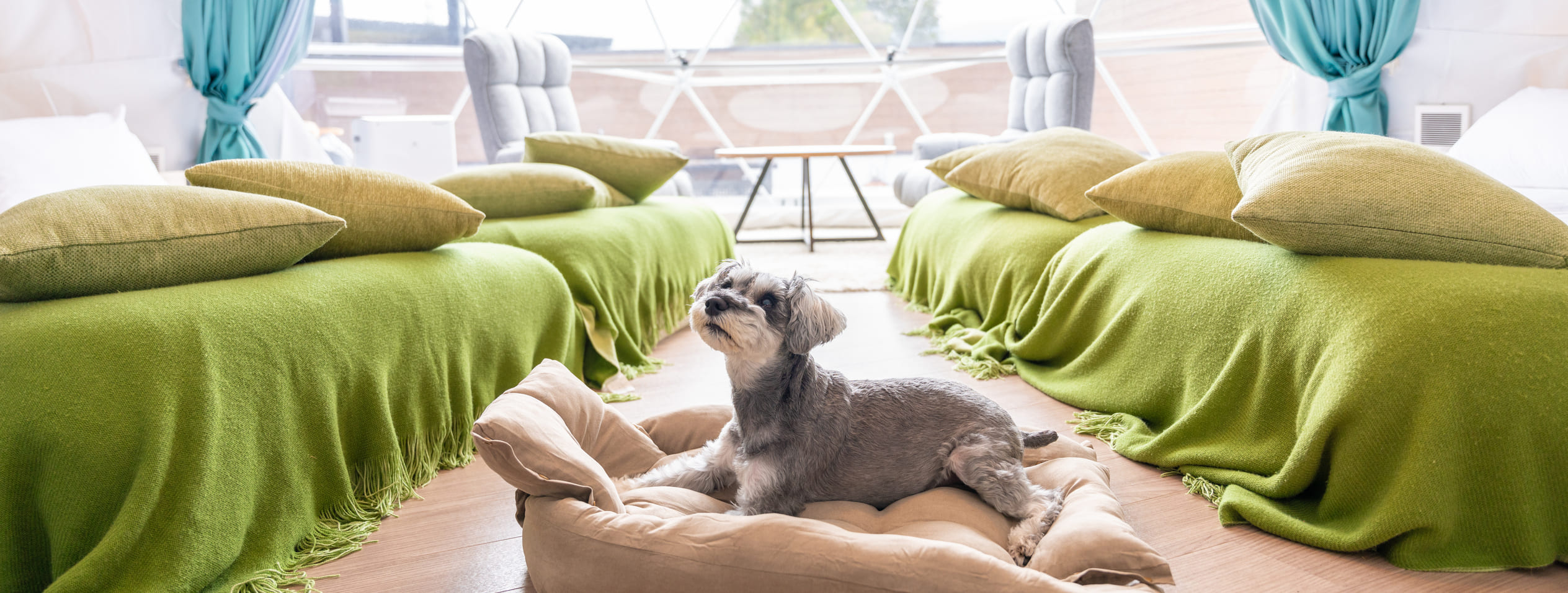 ビジョングランピングリゾート山中湖の客室案内