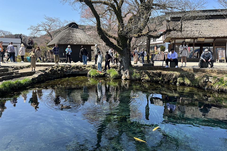 忍野八海
