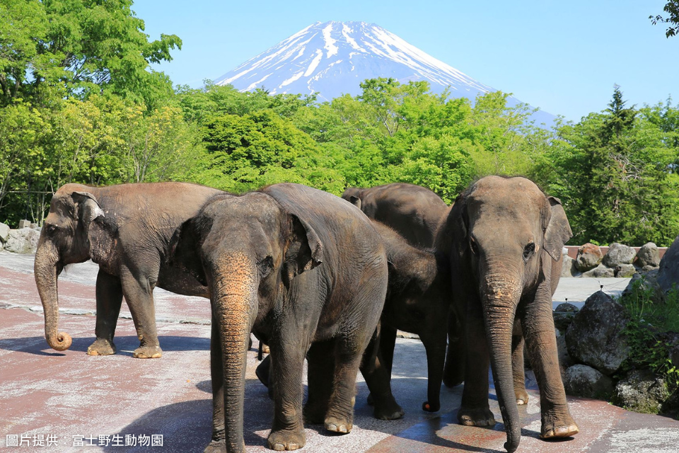 富士野生動物園