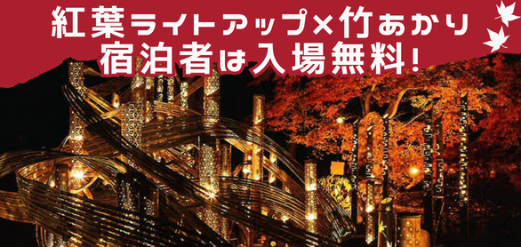 紅葉ライトアップ×竹あかり　宿泊者は入場無料！