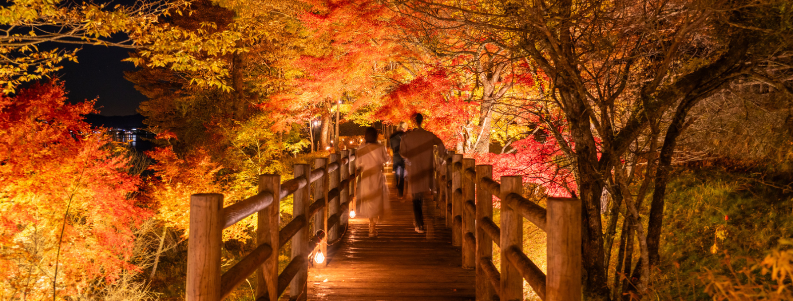 ビジョングランピングリゾート山中湖からのお知らせ