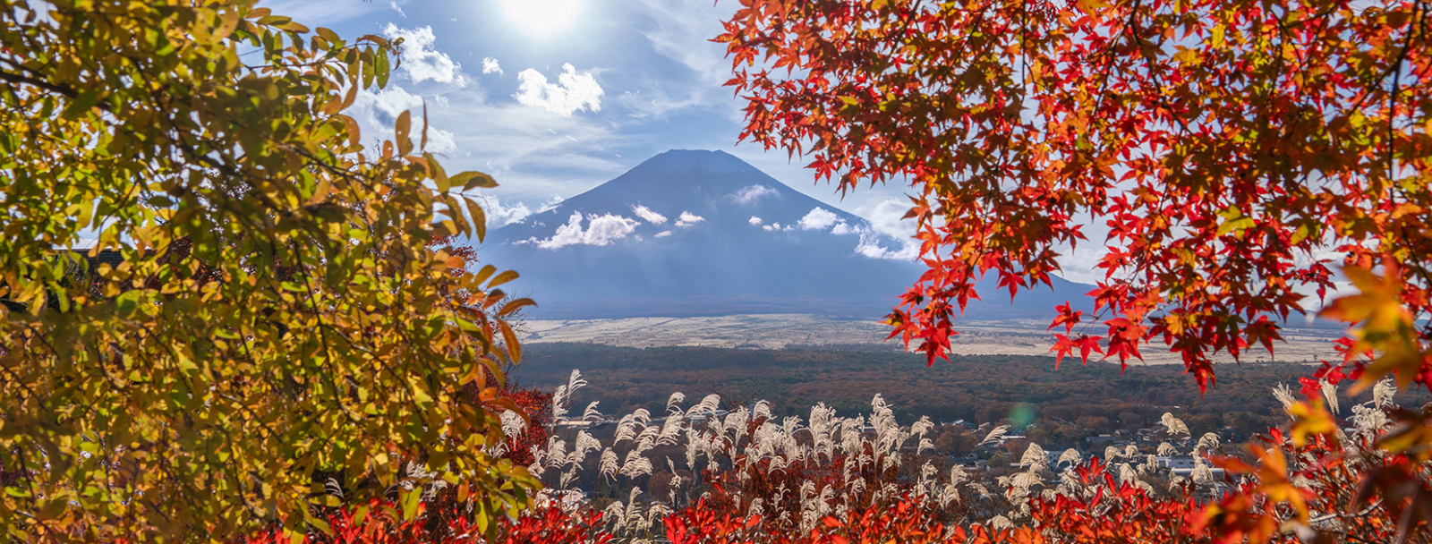 ビジョングランピングリゾート山中湖からのお知らせ