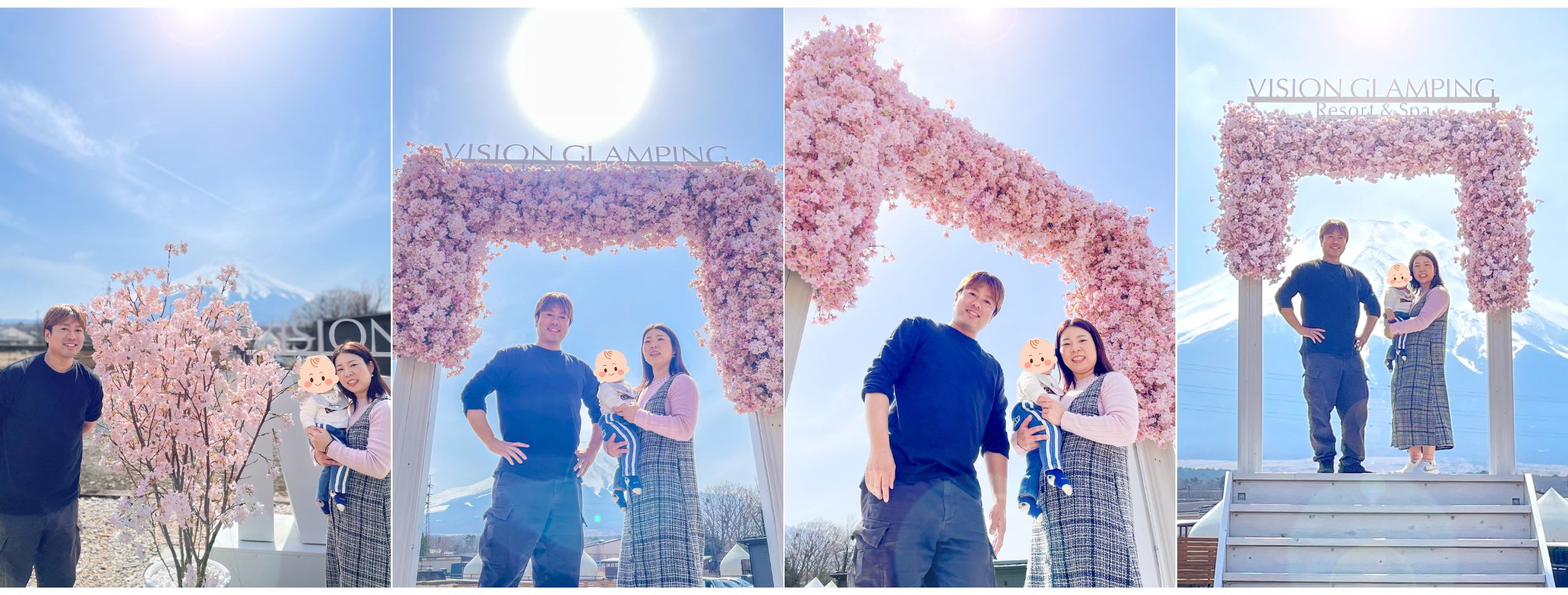 Cherry Blossom and Firefly Viewing 2025