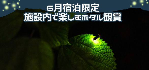 【6月限定】初夏の夜を彩る光の舞。施設内で楽しむホタル観賞