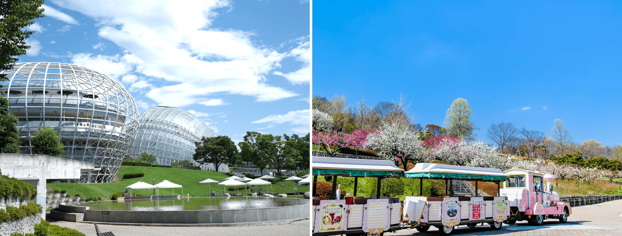 笛吹川フルーツ公園の園内とフルーツの売店